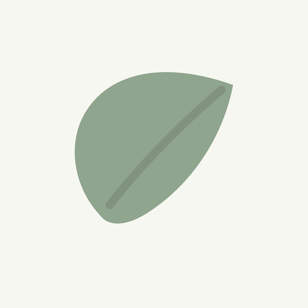life note app icon
